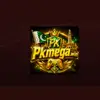 PKMEGAWIN
