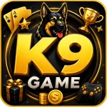 K9 Game