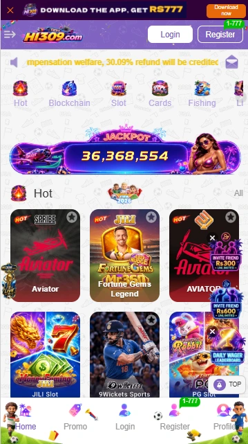 HI309 Game