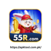55R Game