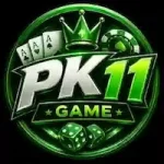 PK11 Game Logo
