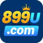 889U Game