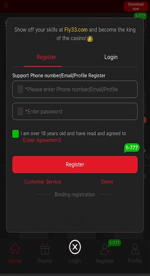 FLy33 Game Register