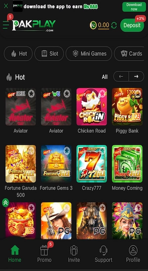 PAKPLAY All Games